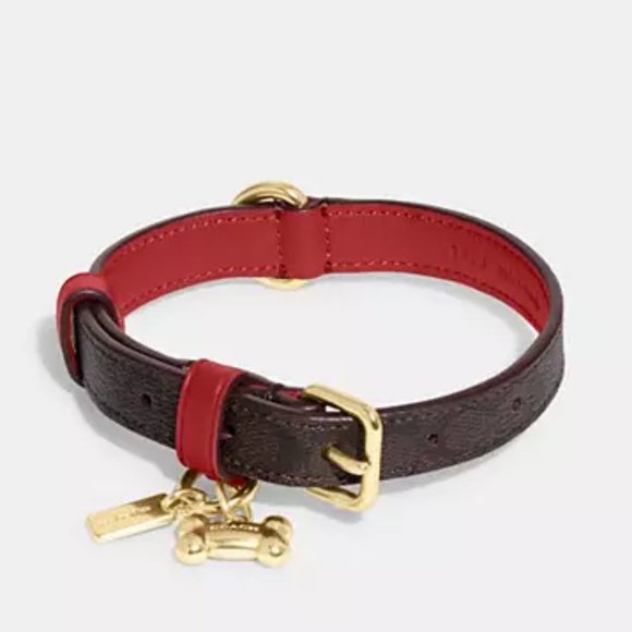 Coach Dog Nwt 89 Coach Small Signature Dog Collar Poshmark